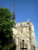 Kathedraal Notre-Dame de Paris - Uitzicht op de torenspits van de kathedraal