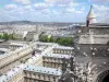 Kathedraal Notre-Dame de Paris - Panoramisch uitzicht over de stad van Parijs van de hoogte van de kathedraal