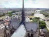 Kathedraal Notre-Dame de Paris - Uitzicht op de torenspits van de kathedraal, de Seine en de daken van Parijs