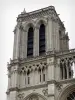 Kathedraal Notre-Dame de Paris - Toren van de kathedraal