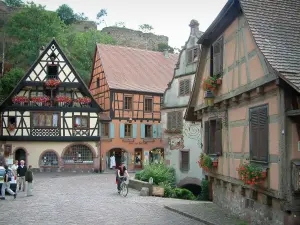 Kaysersberg - Ruïnes van het kasteel domineert de vakwerkhuizen versierd met bloemen (geraniums)