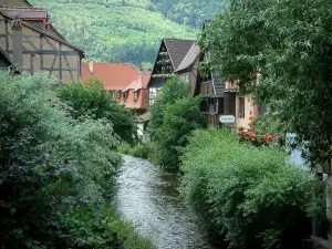 Kaysersberg - River (Weiss), omzoomd met bomen en huizen