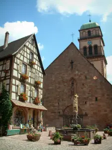 Kaysersberg - Place pavée avec fontaine, maison fleurie à colombages et église Sainte-Croix