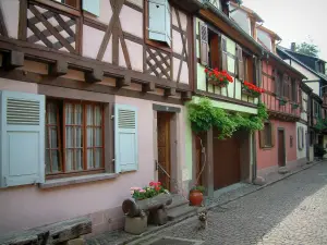 Kaysersberg - Rue pavée avec un petit chien et des maisons à colombages aux façades colorées