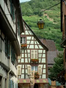 Kaysersberg - Vignes surplombant les maisons à pans de bois du village