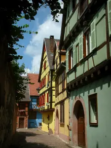 Kaysersberg - Ruelle pavée avec des maisons à colombages aux façades de couleurs vives (vert, jaune, bleu, orange)