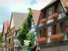 Kaysersberg - Colourful half-timbered houses, facades decorated with shop signs,  and windows decorated with geranium flowers