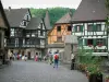 Kaysersberg - Tourism, holidays & weekends guide in the Haut-Rhin