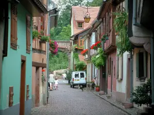 Kaysersberg - Geplaveide straat met huizen met muren gekleurde bloemen