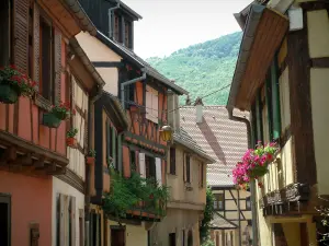 Kaysersberg - Maisons colorées à colombages aux fenêtres ornées de fleurs et de plantes