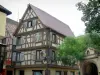 Kaysersberg - Fachwerkhäuser und Bäume