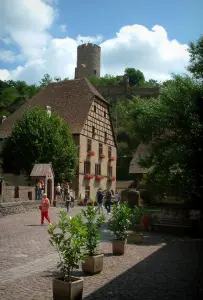 Kaysersberg - Ruines du château (donjon) surplombant le pont fortifié et une maison à colombages aux fenêtres ornées de géraniums (fleurs)