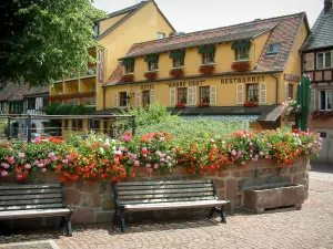 Kaysersberg - Bancs en bois, fleurs (géraniums) et maisons aux façades colorées