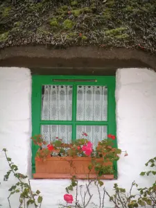 Kerhinet - Grünes Fenster eines weissen Hauses mit Strohdach, dekoriert mit Blumen im Regionalen Naturpark Brière