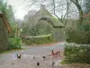 Kerhinet - Village rijstrook met kippen en hanen, bomen en stenen huizen met rieten daken (huizen met rieten daken) in het Regionaal Natuurpark van Brière