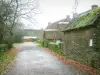 Kerhinet - Gasse, Bäume und Häuser mit Strohdächern des Dorfes, im Regionalen Naturpark Brière