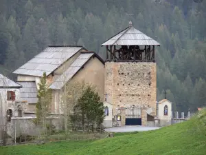 Kirche von Molines-en-Queyras - Kirche Saint-Romain und ihr Glockenturm bedeckt mit Lärche Dachschindeln, Wiese und Bäume; im Regionalen Naturpark des Queyras