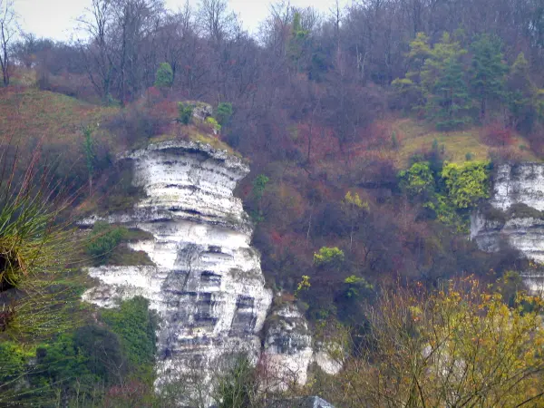 Kliffen van Orival - Cliffs, bomen en struiken