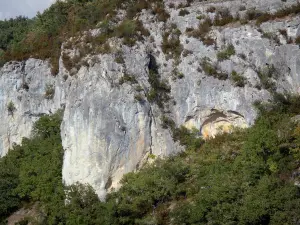 Kloof van de Aveyron - Kalkstenen rots (rock) en vegetatie