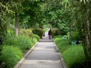 Kunstviaduct met de beplante Promenade - Geplante bomen omzoomde boulevard bevorderlijk voor de route
