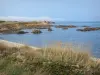 Kust van de Cotentin - Caps weg: oren op de voorgrond rotsen in de zee (Engels Kanaal), landschap van het schiereiland Cotentin