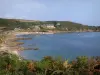 Kust van de Cotentin - Caps weg: op de voorgrond vegetatie, rotsen, heide en huizen met uitzicht op de zee (Engels Kanaal), landschap van het schiereiland Cotentin