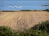 Kust van de Cotentin - Caps weg: gebied met uitzicht op de zee (Engels Kanaal) en pleziervaartuigen; landschap van het schiereiland Cotentin