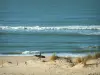 Küstengebiet der Charente-Maritime - Halbinsel Arvert: Düne und Dünengräser vorne, Sandstrand der Küste Sauvage mit einem Surfer, Meer (Atlantik) mit kleinen Wellen