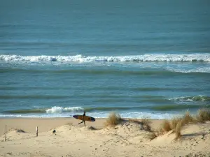 Küstengebiet der Charente-Maritime - Halbinsel Arvert: Düne und Dünengräser vorne, Sandstrand der Küste Sauvage mit einem Surfer, Meer (Atlantik) mit kleinen Wellen