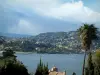 Küstengebiet der Côte d'Azur - Steilküstenstrasse der Riviera, Palme und Vegetation