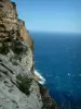 Küstengebiet der Provence - Kap Canaille: Felsen und Mittelmeer