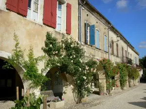 Labastide-d'Armagnac - Place Royale y sus casas con soportales adornados con rosas trepadoras en flor