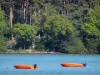 Lac d'Aydat - Deux petits bateaux flottant sur le lac et arbres au bord de l'eau ; dans le Parc Naturel Régional des Volcans d'Auvergne