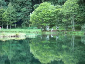 Lac de Bethmale - Arbres se reflétant dans les eaux de l'étang de Bethmale ; dans le Parc Naturel Régional des Pyrénées Ariégeoises, en Couserans, dans la vallée de Bethmale