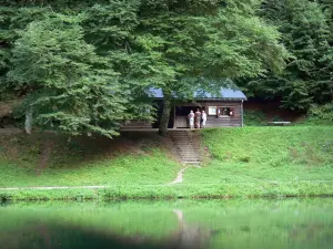 Lac de Bethmale - Étang de Bethmale, rive, cabane et arbres ; dans le Parc Naturel Régional des Pyrénées Ariégeoises, en Couserans, dans la vallée de Bethmale