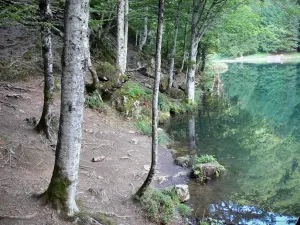 Lac de Bethmale - Rive plantée d'arbres et étang de Bethmale ; dans le Parc Naturel Régional des Pyrénées Ariégeoises, en Couserans, dans la vallée de Bethmale