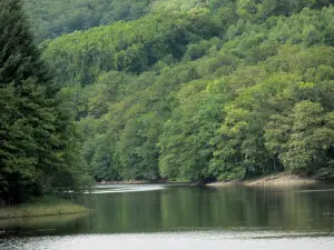 Lac de Chaumeçon - Lac artificiel et ses rives boisées ; dans le Parc Naturel Régional du Morvan