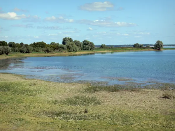 Lac du Der-Chantecoq - Rives, étendue d'eau (lac artificiel), arbres, nuages dans le ciel