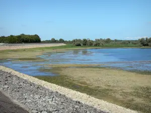 Lac du Der-Chantecoq - Digue, étendue d'eau (lac artificiel) et arbres