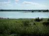 Lac du Der-Chantecoq - Roseaux, étendue d'eau (lac artificiel), rives, arbres