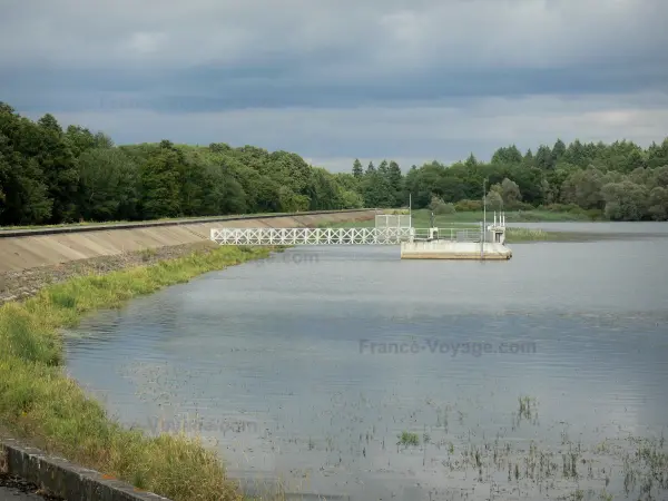 Lac du Der-Chantecoq - Étendue d'eau (lac artificiel) et rive boisée