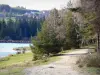 Lac de Devesset - Balade le long du plan d'eau, sur un sentier bordé d'arbres