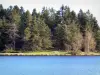 Lac de Devesset - Plan d'eau et rive arborée avec table de pique-nique