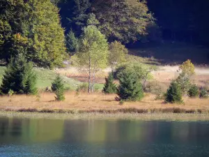 Lac Genin - Lac et rive plantée d'arbres ; dans le massif du Jura (Haut-Bugey), sur les communes de Charix, d'Échallon et d'Oyonnax