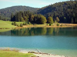 Lac Genin - Lac, prairies, arbres et forêt ; dans le massif du Jura (Haut-Bugey), sur les communes de Charix, d'Échallon et d'Oyonnax