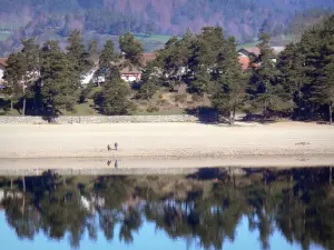 Lac d'Issarlès - Arbres se reflétant dans les eaux du lac