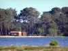 Lac de Lacanau - Plan d'eau, club de voile et forêt de pins