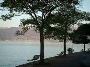 Lac Léman - Arbres et bancs de la rive de Meillerie avec vue sur le lac et les montagnes de la rive suisse