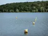 Lac de la Liez - Pays des Quatre Lacs : plan d'eau de la Liez et rive boisée