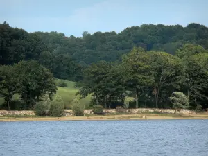 Lac de la Liez - Pays des Quatre Lacs : plan d'eau de la Liez et sa rive plantée d'arbres